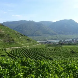 Explore World Heritage Trail Wachau for 5 days with Eurohike and discover unforgettable experiences - Photo 3