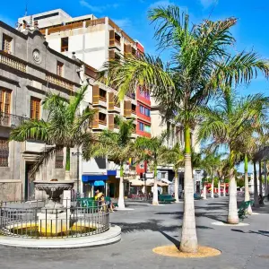 Explore Walking Paradise Tenerife for 8 days with Eurohike and discover unforgettable experiences - Photo 7