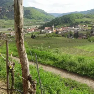 Explore World Heritage Trail Wachau for 8 days with Eurohike and discover unforgettable experiences - Photo 6