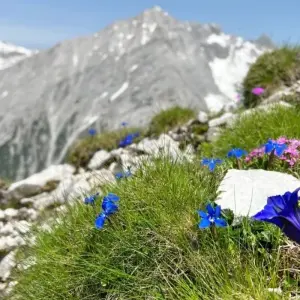 Explore Trans Tyrol: Garmisch - Innsbruck for 8 days with Eurohike and discover unforgettable experiences - Photo 2