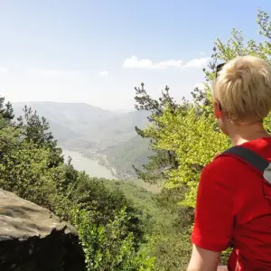 Explore World Heritage Trail Wachau for 5 days with Eurohike and discover unforgettable experiences - Photo 11