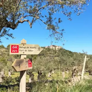 Explore Majorca Finca-Walking with Charm for 7 days with Eurohike and discover unforgettable experiences - Photo 8