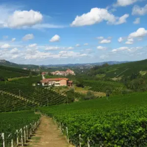 Explore Piedmont for 8 days with Eurohike and discover unforgettable experiences - Photo 4