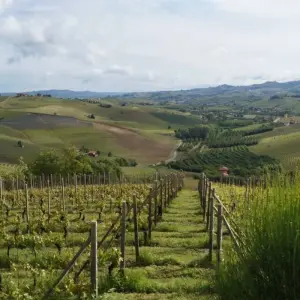 Explore Piedmont for 8 days with Eurohike and discover unforgettable experiences - Photo 5