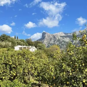 Explore Majorca Finca-Walking with Charm for 7 days with Eurohike and discover unforgettable experiences - Photo 10