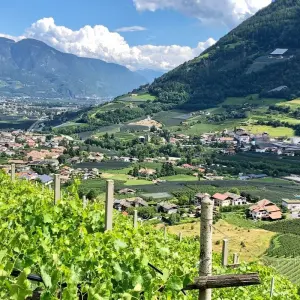 Explore From Meran to Lake Garda for 8 days with Eurohike and discover unforgettable experiences - Photo 7