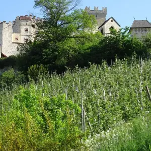 Explore From Lake Resia to Lake Caldaro with Charm 9/8 for 9 days with Eurohike and discover unforgettable experiences - Photo 8