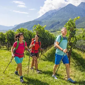 Explore From Meran to Lake Garda for 8 days with Eurohike and discover unforgettable experiences - Photo 11