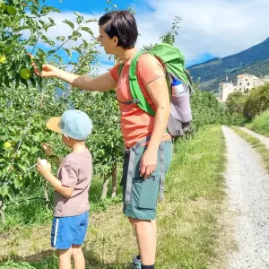 Explore South Tyrol For Families for 7 days with Eurohike and discover unforgettable experiences - Photo 4