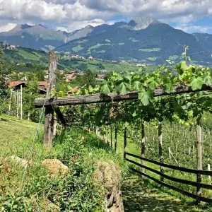Explore South Tyrol For Families for 7 days with Eurohike and discover unforgettable experiences - Photo 6