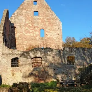 Explore Magical Spessart for 5 days with Eurohike and discover unforgettable experiences - Photo 3