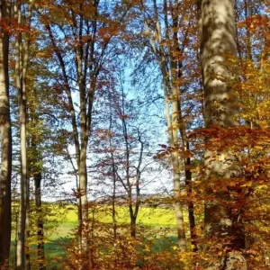 Explore Magical Spessart for 5 days with Eurohike and discover unforgettable experiences - Photo 5