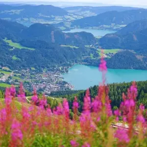 Explore Lake Wolfgangsee – based in one hotel with charm 7/6 for 7 days with Eurohike and discover unforgettable experiences - Photo 9
