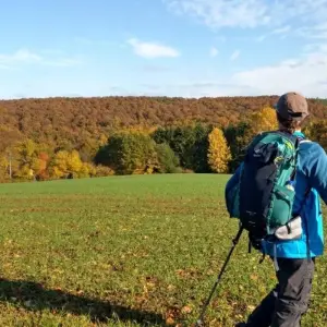 Explore Magical Spessart for 5 days with Eurohike and discover unforgettable experiences - Photo 6