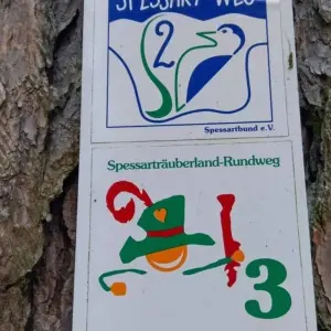 Explore Magical Spessart for 5 days with Eurohike and discover unforgettable experiences - Photo 9