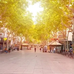 Explore Europe in Depth for 24 days with Europamundo and discover unforgettable experiences - Photo 5