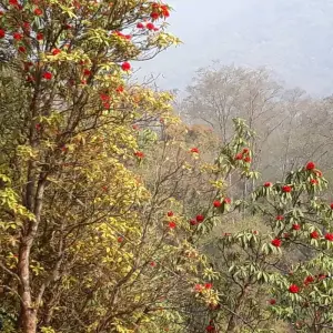 Explore Annapurna Base Camp Trek for 10 days with Eve Holidays and discover unforgettable experiences - Photo 10