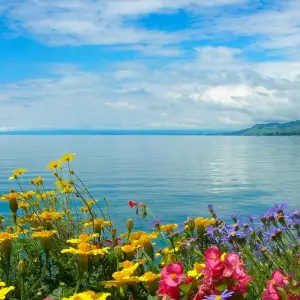 Explore Switzerland for 8 days with Europamundo and discover unforgettable experiences - Photo 7