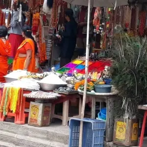 Explore World Heritage Sites and Wildlife for 7 days with Eve Holidays and discover unforgettable experiences - Photo 8