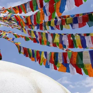 Explore World Heritage Sites and Wildlife for 7 days with Eve Holidays and discover unforgettable experiences - Photo 10