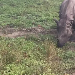 Explore Annapurna Sunrise Trek with Wildlife Tour for 10 days with Eve Holidays and discover unforgettable experiences - Photo 6