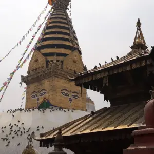 Explore Everest View Comfort Trek for 12 days with Eve Holidays and discover unforgettable experiences - Photo 2