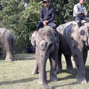 Explore Kathmandu Cultural Tour and Bardia National Park for 8 days with Eve Holidays and discover unforgettable experiences - Photo 7