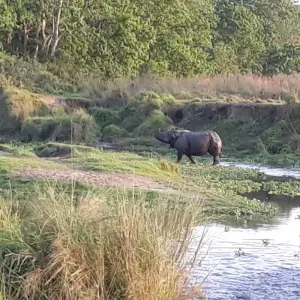 Explore Kathmandu Cultural Tour and Bardia National Park for 8 days with Eve Holidays and discover unforgettable experiences - Photo 8