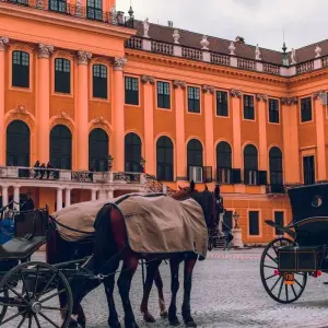 Explore Best of Central Europe Flashpacking Group Tour for 8 days with Euroventure Travel and discover unforgettable experiences - Photo 2