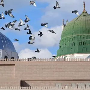 Explore Contrasts of Arabia, Jordan, Cairo and Alexandria for 11 days with Europamundo and discover unforgettable experiences - Photo 6