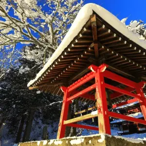 Explore South Japan Express for 6 days with Europamundo and discover unforgettable experiences - Photo 8