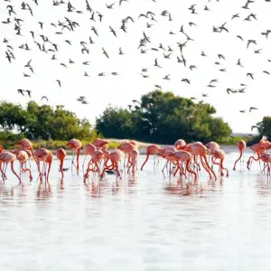 Explore The Mariachi route for 17 days with Europamundo and discover unforgettable experiences - Photo 2