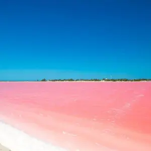 Explore The Mariachi route for 17 days with Europamundo and discover unforgettable experiences - Photo 10