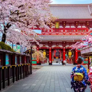 Explore Tokyo, Kyoto and Osaka for 5 days with Europamundo and discover unforgettable experiences - Photo 2