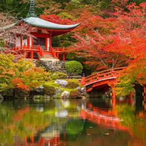 Explore Tokyo, Kyoto and Osaka for 5 days with Europamundo and discover unforgettable experiences - Photo 4