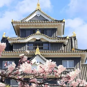 Explore Tokyo, Kyoto and Hiroshima for 7 days with Europamundo and discover unforgettable experiences - Photo 4