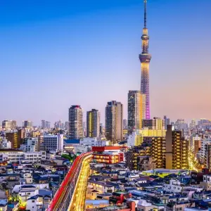 Explore Tokyo, Kyoto and Osaka for 5 days with Europamundo and discover unforgettable experiences - Photo 5