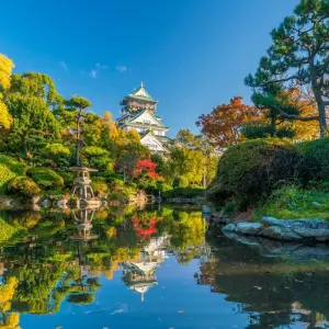 Explore Tokyo, Kyoto and Osaka for 5 days with Europamundo and discover unforgettable experiences - Photo 6