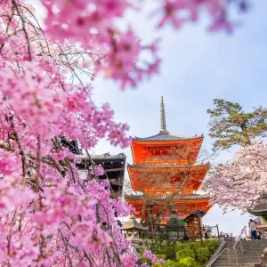 Explore Tokyo, Kyoto and Osaka for 5 days with Europamundo and discover unforgettable experiences - Photo 10