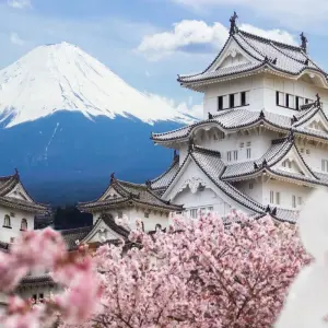 Explore Essential Japan and Complete Korea for 15 days with Europamundo and discover unforgettable experiences - Photo 2