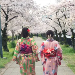 Explore Essential Japan and Complete Korea for 15 days with Europamundo and discover unforgettable experiences - Photo 6