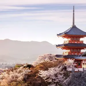 Explore Essential Japan and Complete Korea for 15 days with Europamundo and discover unforgettable experiences - Photo 8