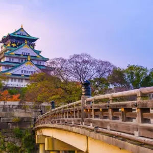 Explore Essential Japan and Complete Korea for 15 days with Europamundo and discover unforgettable experiences - Photo 9
