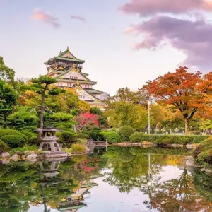 Explore Shining Korea and Essential Japan for 13 days with Europamundo and discover unforgettable experiences - Photo 3