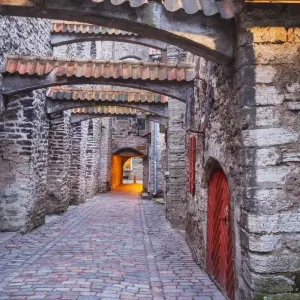 Explore German Trek End Tallinn (24 destinations) for 14 days with Europamundo and discover unforgettable experiences - Photo 4
