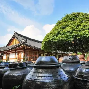 Explore Shining Korea and Essential Japan for 13 days with Europamundo and discover unforgettable experiences - Photo 10