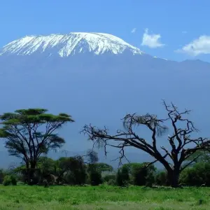 Explore 8 Days  Mount Kilimanjaro Climb - Machame Route for 9 days with Exciting Africa Holidays and discover unforgettable experiences - Photo 6