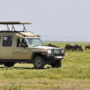 Explore 6 Days Tanzania Budget  Camping  Safari for 6 days with Exciting Africa Holidays and discover unforgettable experiences - Photo 3