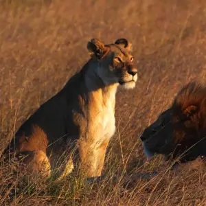 Explore 5 Days Kenya Camping Safari - Great Rift Valley and Maasai Mara for 5 days with Exciting Africa Holidays and discover unforgettable experiences - Photo 8