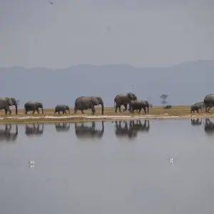 Explore 6 Days Kenya Lodge Safari to  Nakuru - Naivasha and Masai Mara for 6 days with Exciting Africa Holidays and discover unforgettable experiences - Photo 5